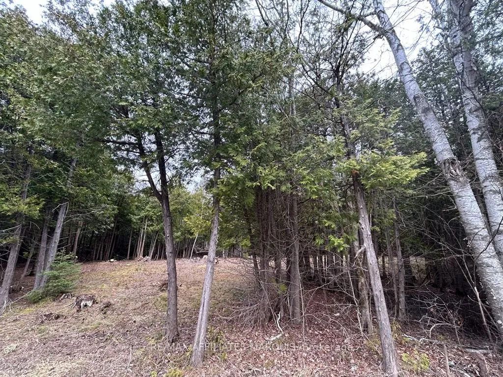 00 Snowdons Corners Road, ON K0G 1N0