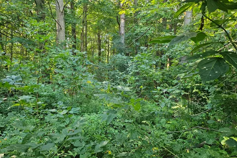 184 Richard Street, ON P1L 1J3