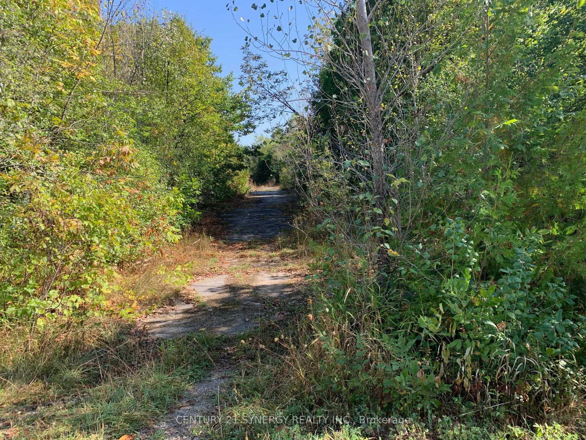 00 Basswood Crescent, ON K7A 5B8