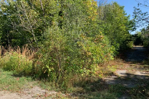 00 Basswood Crescent, ON K7A 5B8