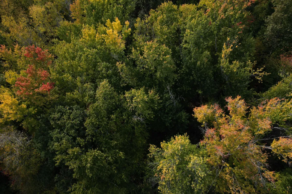 101 Allbirch Road, ON K0A 3M0