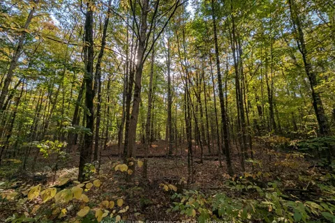 0 Healey Lake Road, ON P1L 1X3