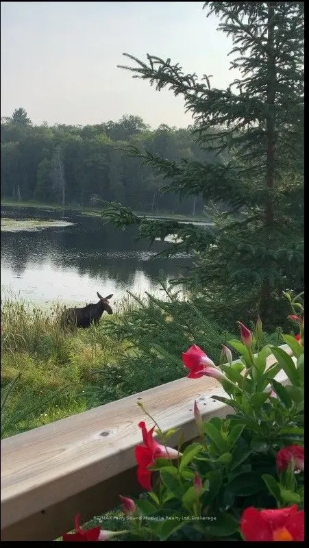 123 Hwy 520 N/A, ON P0A 1G0