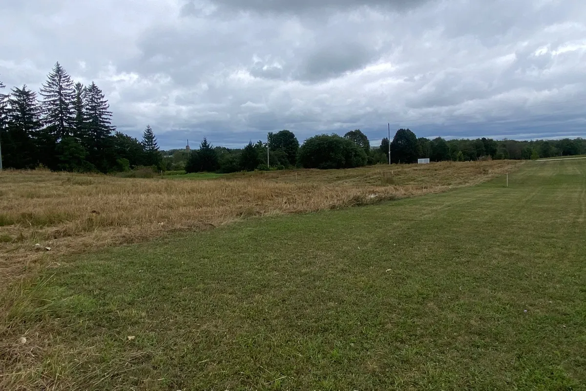 37 Nelson Street, ON N0G 1M0