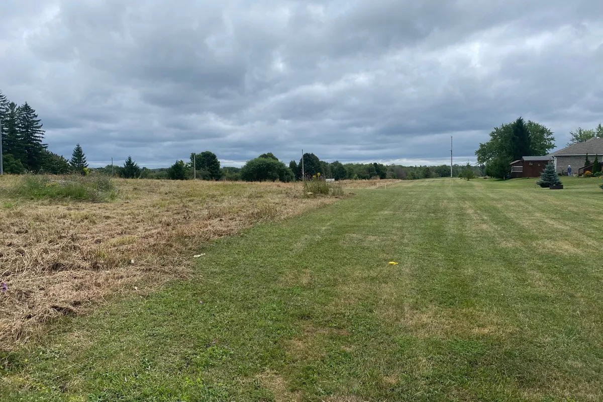 37 Nelson Street, ON N0G 1M0