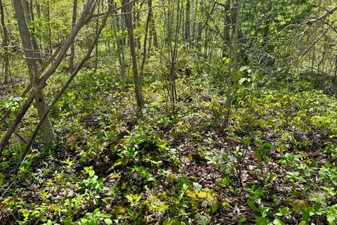 2248 Bruce Rd 9 Road, ON N0H 1W0