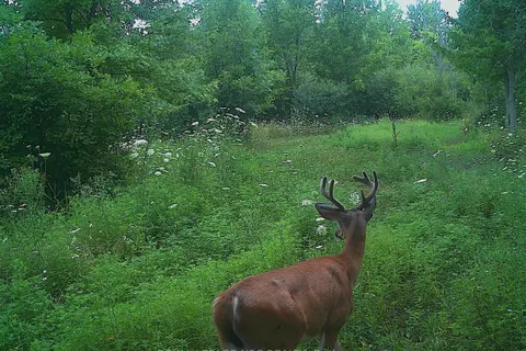 4511 Miller Road, ON L3B 5N7