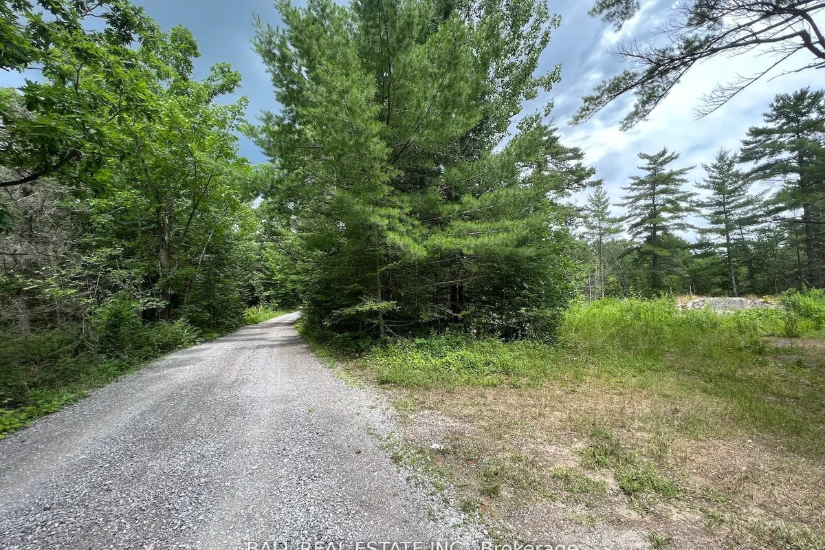 3 Fire Route 81 N/A, ON K0L 1J0