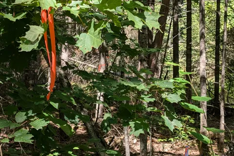 2246 YEARLEY Road, ON P0A 1Y0