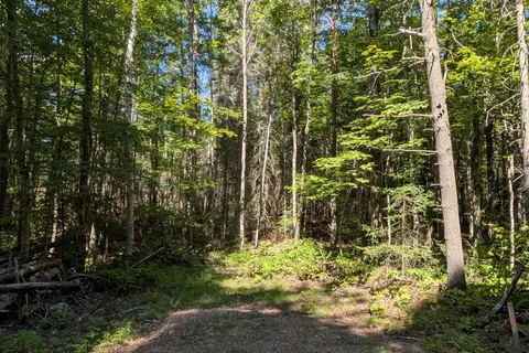 2246 YEARLEY Road, ON P0A 1Y0