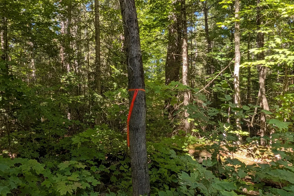 2244 YEARLEY Road, ON P0A 1Y0