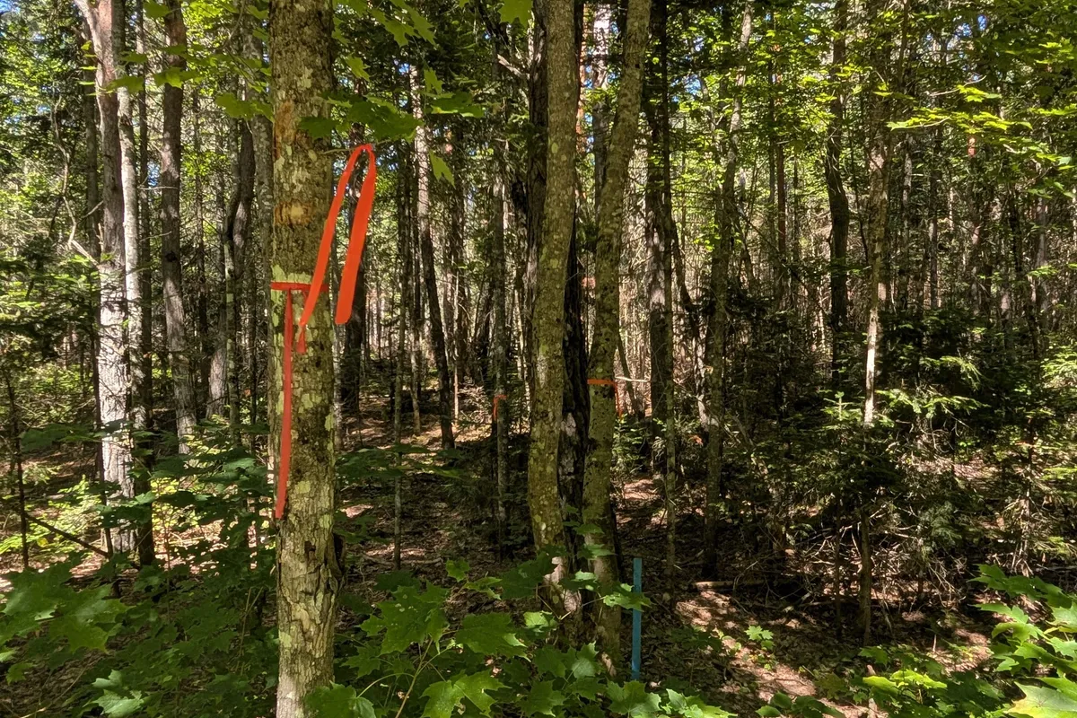 2244 YEARLEY Road, ON P0A 1Y0