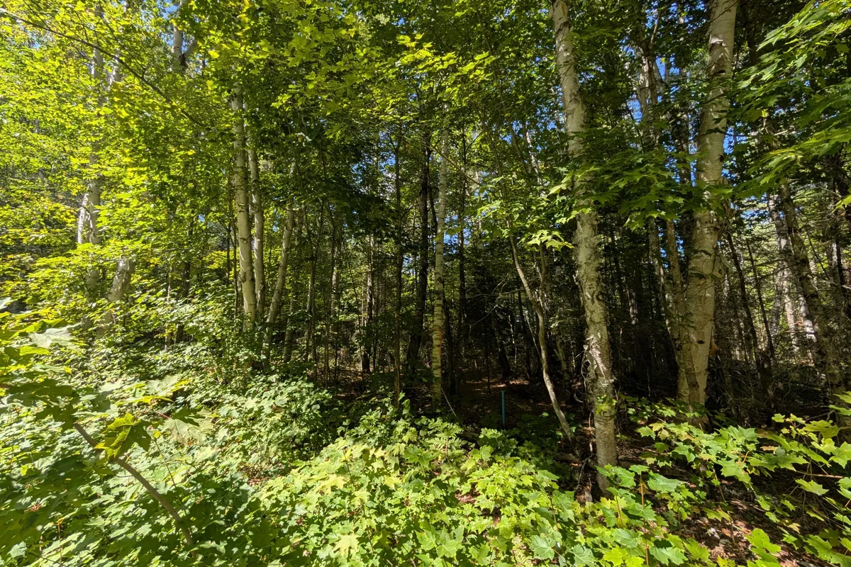 2206 YEARLEY Road, ON P0A 1Y0