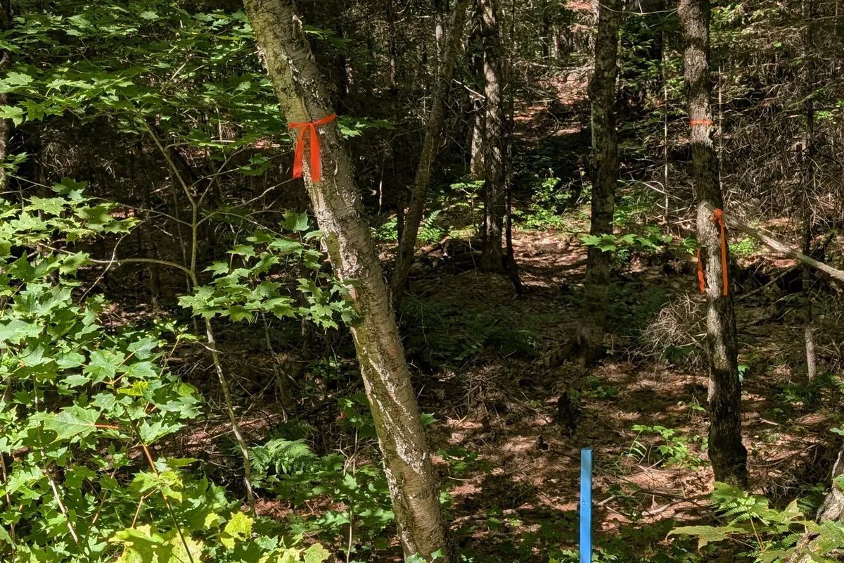 2206 YEARLEY Road, ON P0A 1Y0