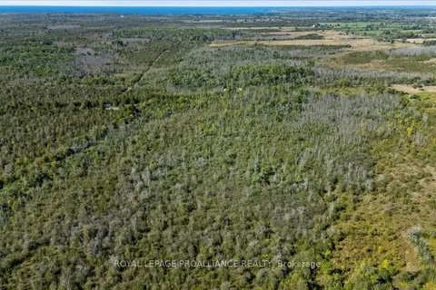 467 Lighthall Road, ON K0K 2P0