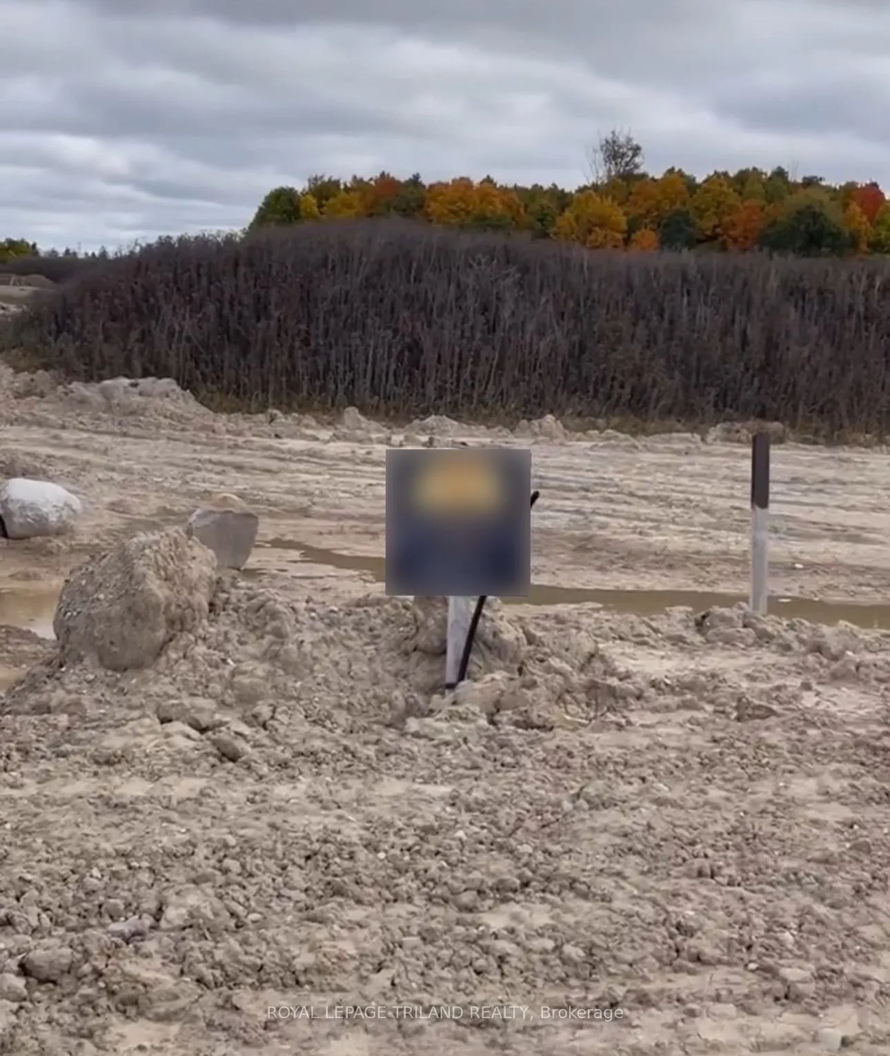 LOT 135 BIG LEAF Trail, ON N6P 0A3