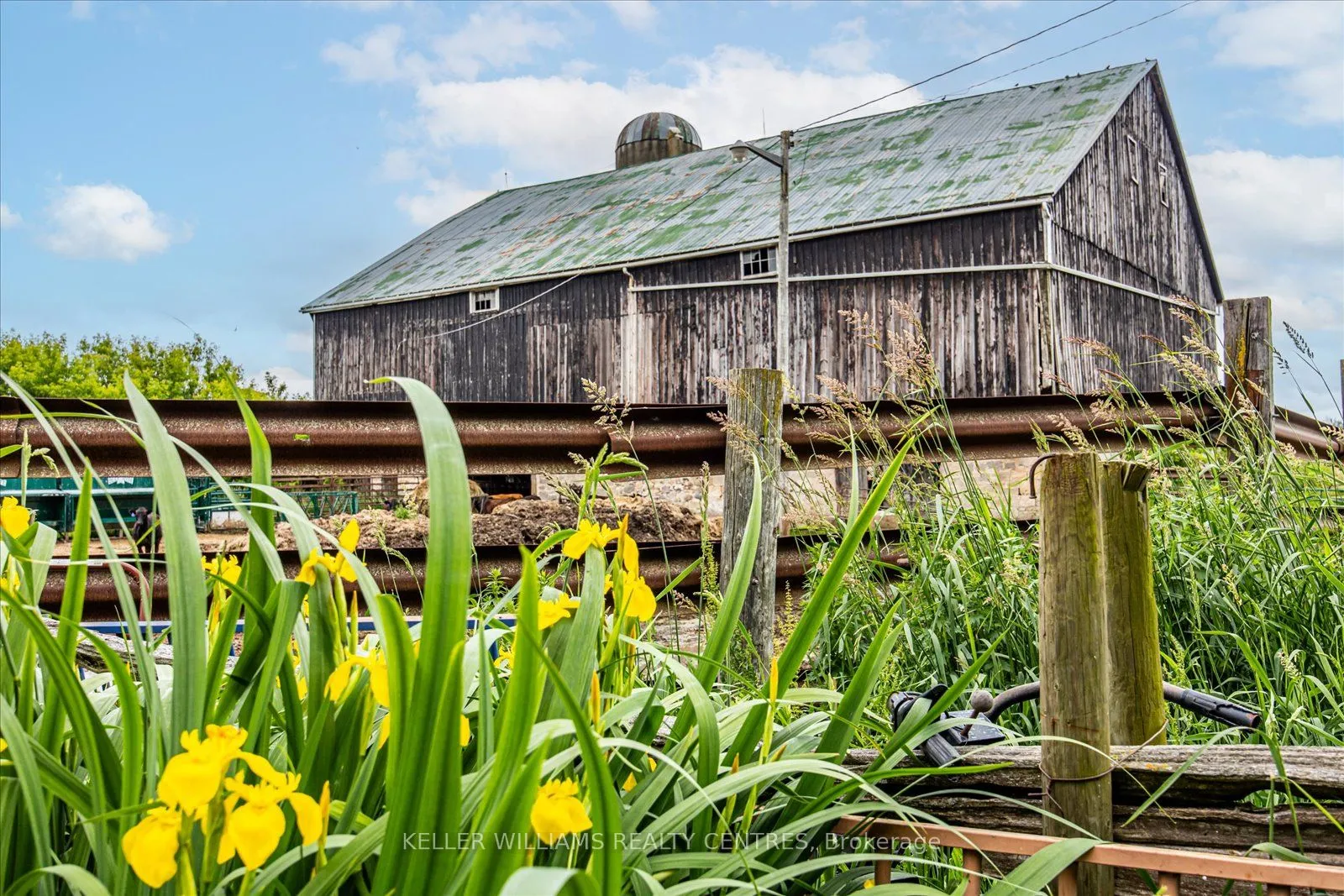 4956 Fifth Line, ON L7J 2J8