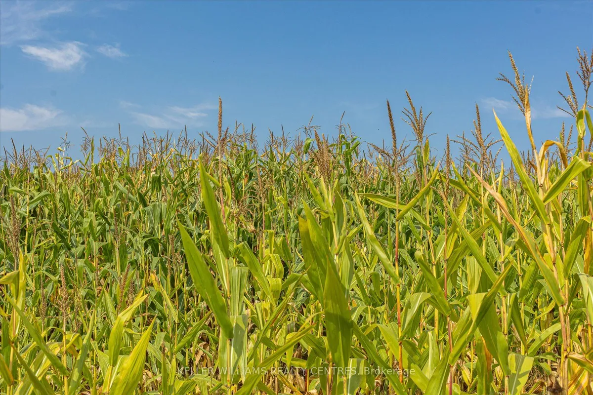 4956 Fifth Line, ON L7J 2J8