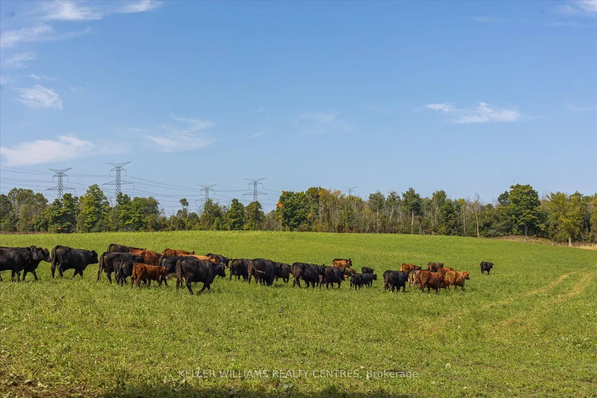 4956 Fifth Line, ON L7J 2J8