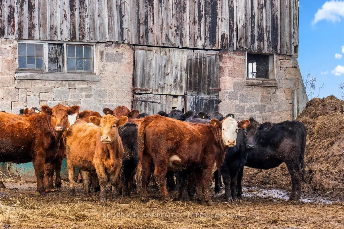 4956 Fifth Line, ON L7J 2J8