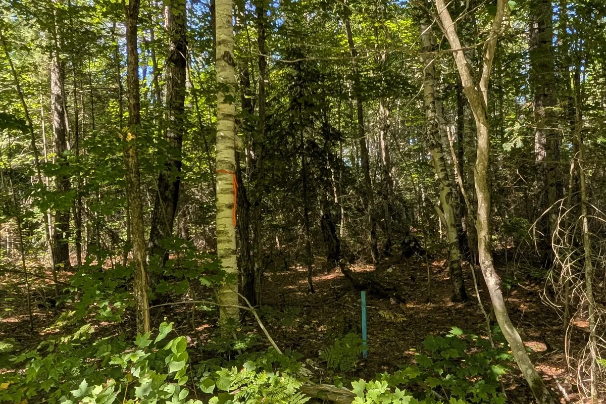 2204 YEARLEY Road, ON P0A 1Y0