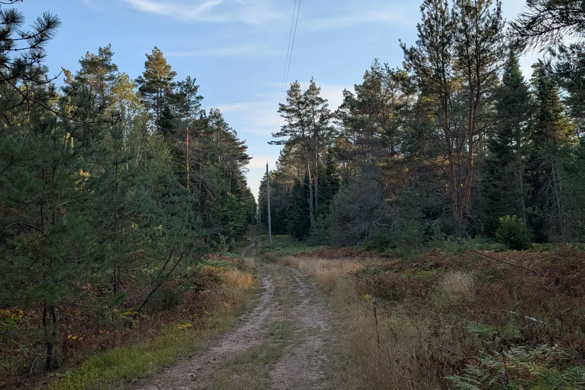 2204 YEARLEY Road, ON P0A 1Y0