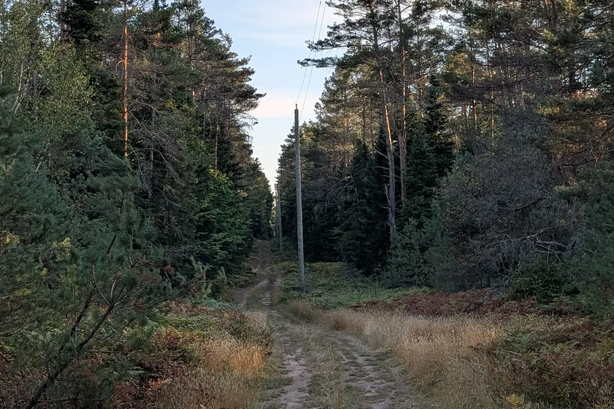 2204 YEARLEY Road, ON P0A 1Y0