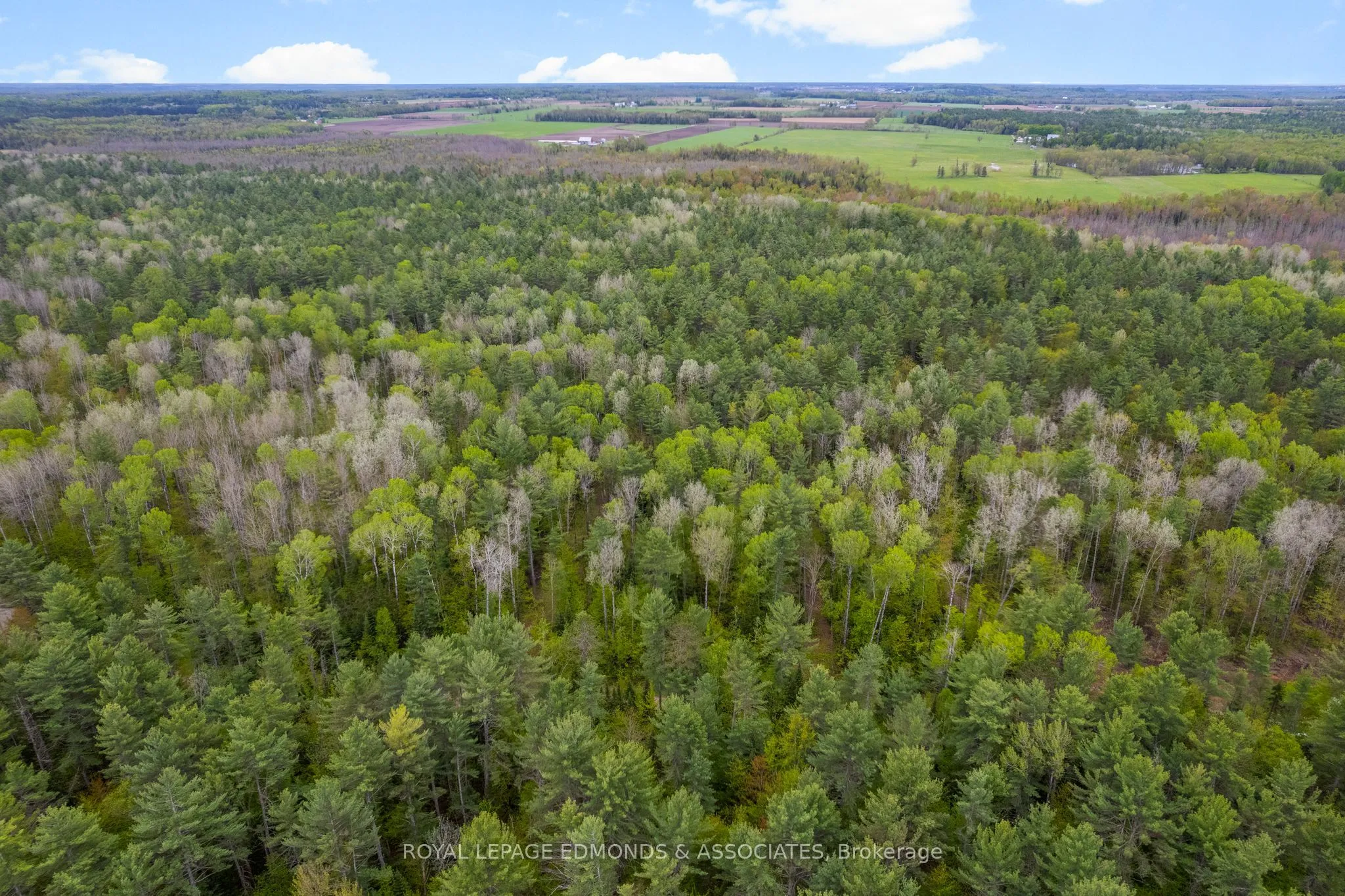 0000 Nangor Trail, ON K0J 2L0