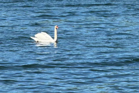 Pt Lt 6-7 16th Line Road, ON K0H 2Y0