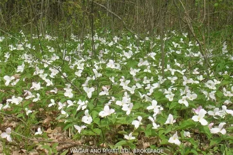 .. BRIDGE Street, ON K7R 3L1