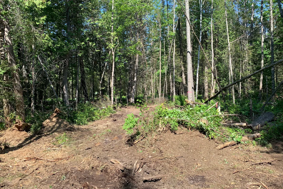 522 ALBERT Street, ON P0A 1Z0