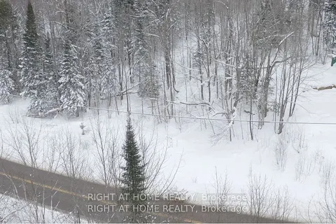 22382 Highway 35 Highway, ON P0A 1E0