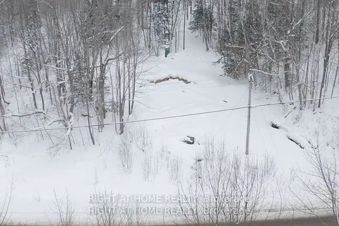 22382 Highway 35 Highway, ON P0A 1E0