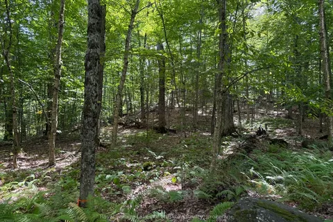 Lot 85 Brennan Circle, ON P1H 2J2