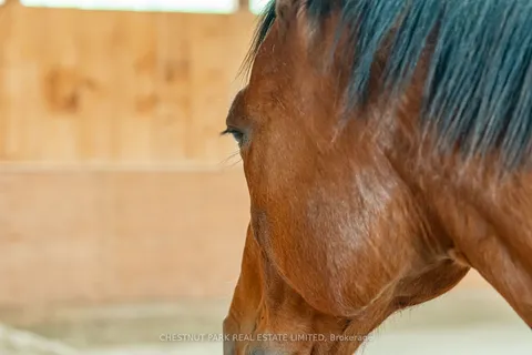 1123 Nu-Ne Lane, ON K0M 1S0