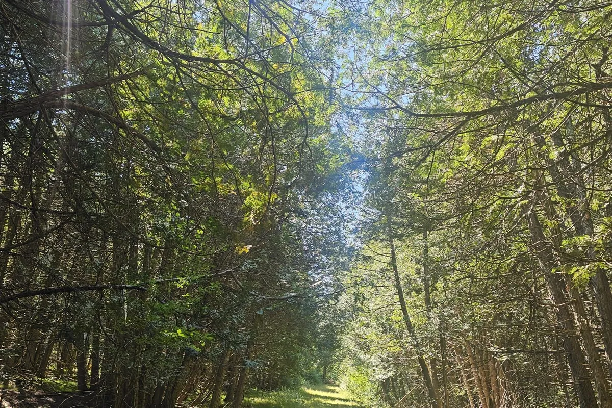 1477 Armstrong Road, ON K0G 0A3