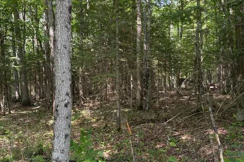 LT 26 Frank St Street, ON P0A 1Z0