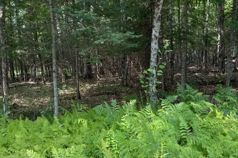 LT 26 Frank St Street, ON P0A 1Z0