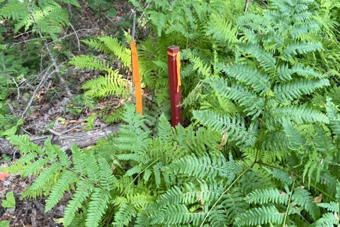 LT 26 Frank St Street, ON P0A 1Z0