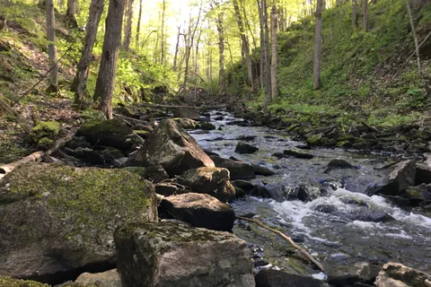 56 Kelly Road, ON K0G 1X0