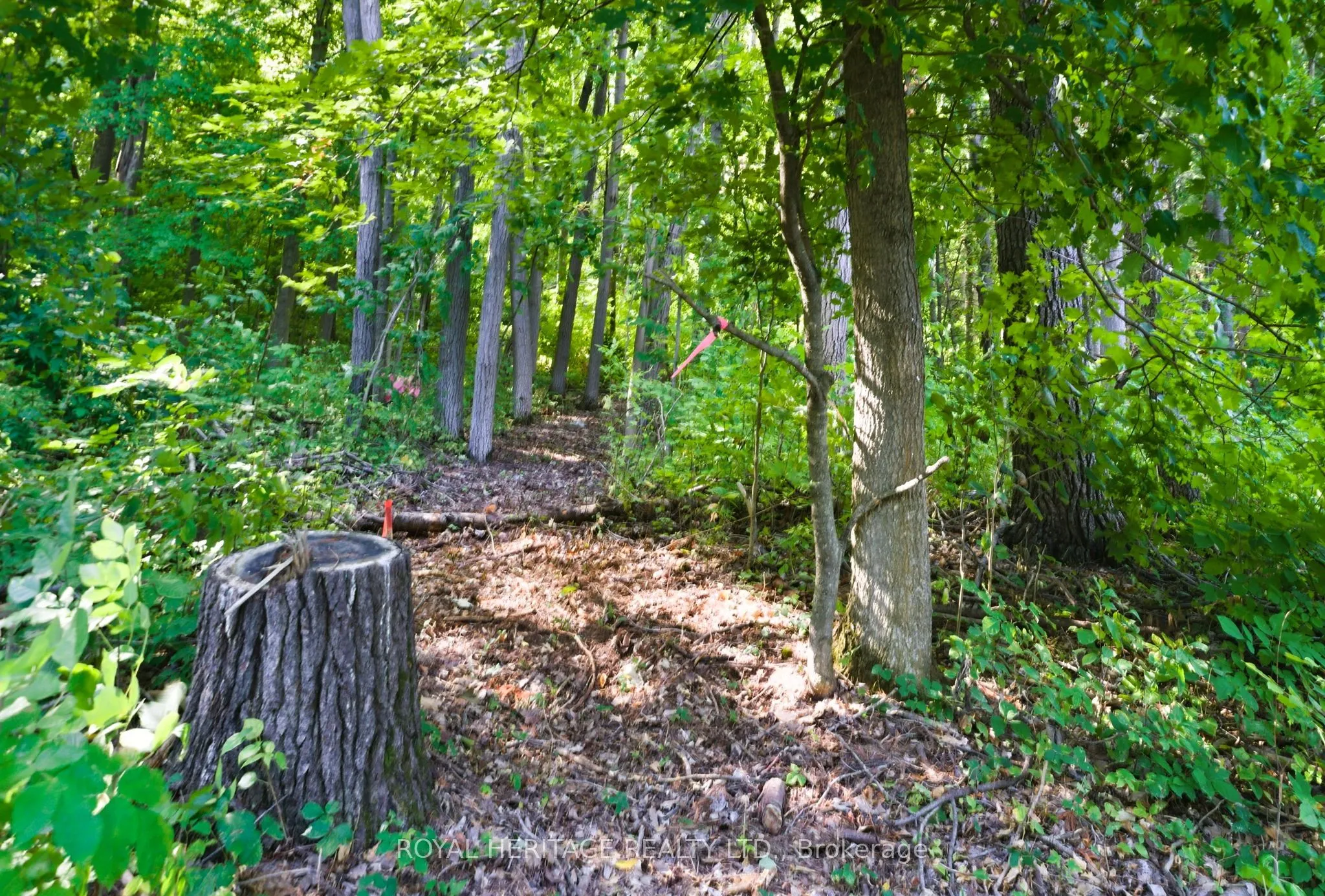 0 Pinewood School Road, ON K0K 1M0