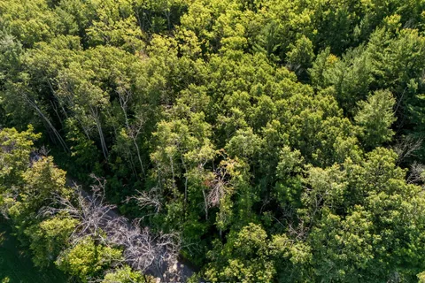 0 Pinewood School Road, ON K0K 1M0