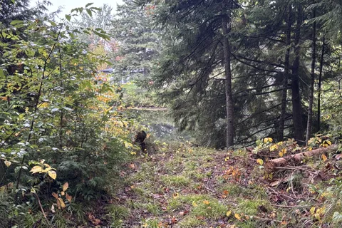 89 River Road, ON K0M 1N0