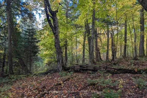 121 Proudfoot Road, ON P0A 1Z0