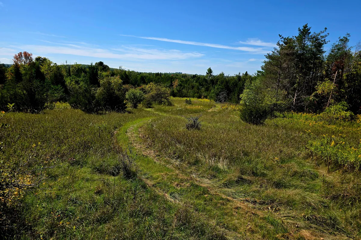 Pt 2 Lot 13 Conc 2 Asphodel 3rd Line, ON K0L 2V0