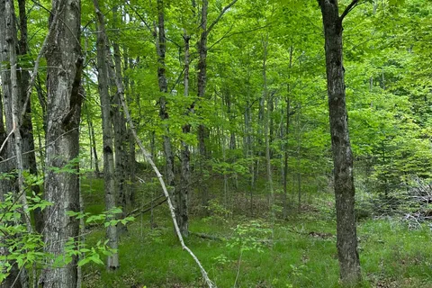 17146 Road 509 N/A, ON K0H 2P0