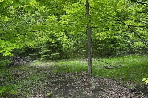 17146 Road 509 N/A, ON K0H 2P0