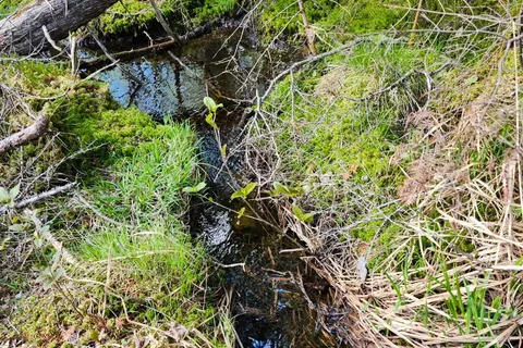 PT LOTS 24 & 25 CON 5 Concession, ON P0A 1C0