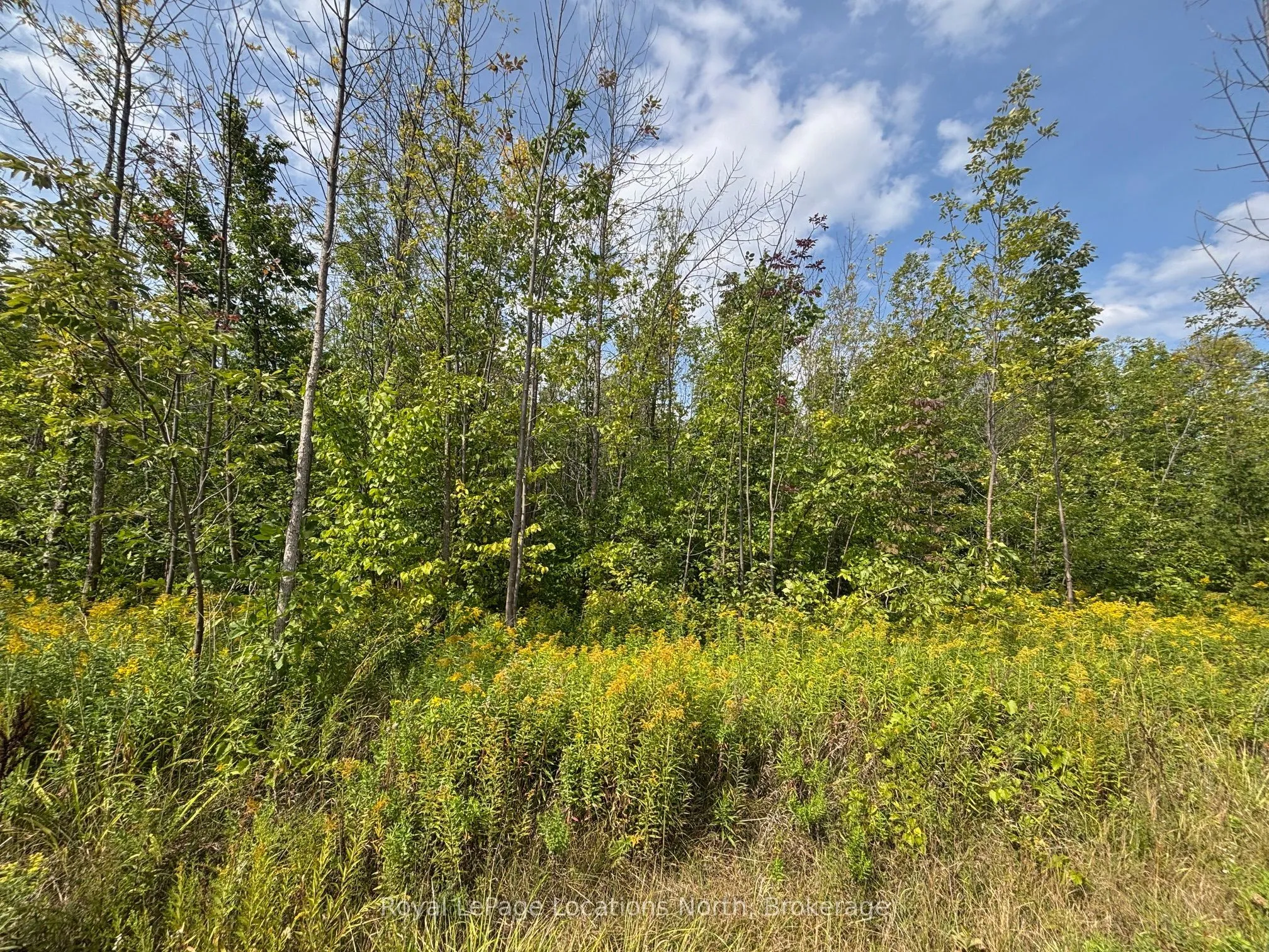 0 Cedar Avenue, ON N4L 1W5