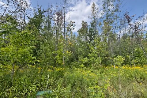 0 Cedar Avenue, ON N4L 1W5